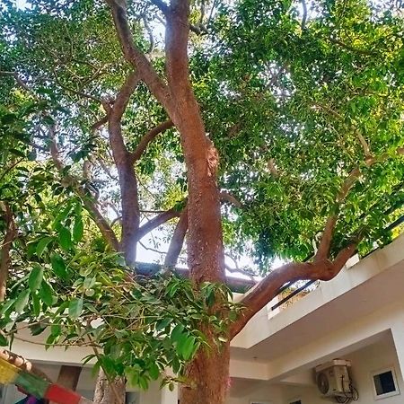 Green Hub Pushkar Villa Exterior foto